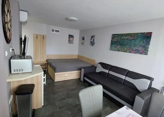 Vizparti Gyermekbarat Teljesen Felujitott Apartman, Orzoett, Sajat Strand, Parkolo, Etterem Balatonfenyves